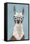 Llama Specs I-Victoria Borges-Framed Stretched Canvas