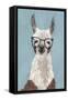 Llama Specs I-Victoria Borges-Framed Stretched Canvas