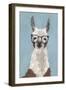 Llama Specs I-Victoria Borges-Framed Art Print