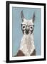 Llama Specs I-Victoria Borges-Framed Art Print