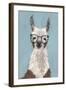 Llama Specs I-Victoria Borges-Framed Art Print