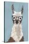 Llama Specs I-Victoria Borges-Stretched Canvas