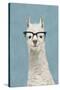 Llama Specs II-Victoria Borges-Stretched Canvas