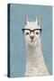 Llama Specs II-Victoria Borges-Stretched Canvas