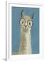 Llama Specs III-Victoria Borges-Framed Art Print