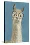 Llama Specs III-Victoria Borges-Stretched Canvas