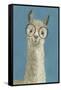 Llama Specs III-Victoria Borges-Framed Stretched Canvas