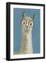 Llama Specs III-Victoria Borges-Framed Art Print