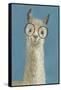 Llama Specs III-Victoria Borges-Framed Stretched Canvas