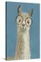 Llama Specs III-Victoria Borges-Stretched Canvas