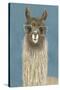 Llama Specs IV-Victoria Borges-Stretched Canvas