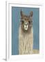 Llama Specs IV-Victoria Borges-Framed Art Print