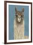 Llama Specs IV-Victoria Borges-Framed Art Print