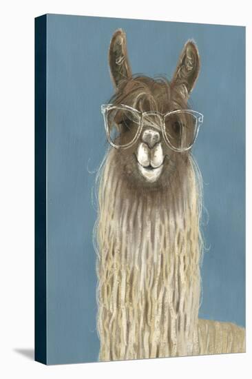 Llama Specs IV-Victoria Borges-Stretched Canvas