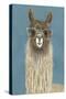 Llama Specs IV-Victoria Borges-Stretched Canvas