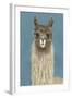 Llama Specs IV-Victoria Borges-Framed Art Print