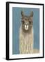 Llama Specs IV-Victoria Borges-Framed Art Print