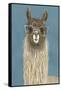 Llama Specs IV-Victoria Borges-Framed Stretched Canvas