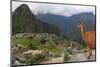 Llama standing at Machu Picchu viewpoint, UNESCO World Heritage Site, Peru, South America-Don Mammoser-Mounted Photographic Print