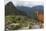 Llama standing at Machu Picchu viewpoint, UNESCO World Heritage Site, Peru, South America-Don Mammoser-Mounted Photographic Print