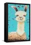 Llama Sue-Lucia Stewart-Framed Stretched Canvas