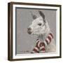 Llama with Red and White Scarf-Mary Miller Veazie-Framed Giclee Print