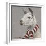 Llama with Red and White Scarf-Mary Miller Veazie-Framed Giclee Print