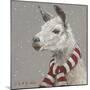 Llama with Red and White Scarf-Mary Miller Veazie-Mounted Giclee Print