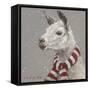 Llama with Red and White Scarf-Mary Miller Veazie-Framed Stretched Canvas