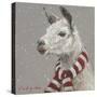 Llama with Red and White Scarf-Mary Miller Veazie-Stretched Canvas