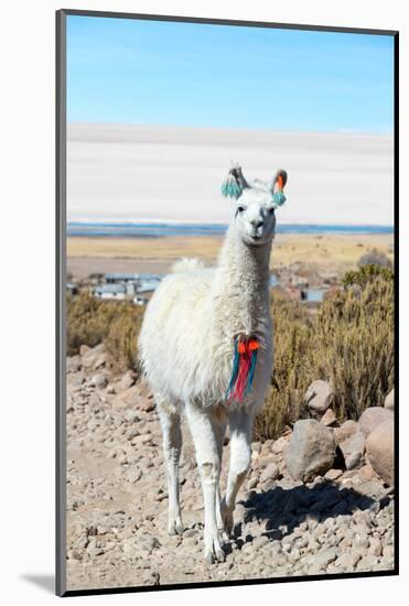 Llama with Uyuni Salt Flats-jkraft5-Mounted Photographic Print