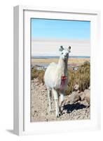 Llama with Uyuni Salt Flats-jkraft5-Framed Photographic Print