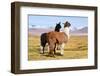 Llama-xolct-Framed Photographic Print