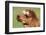 Llama-SWallace-Framed Photographic Print