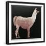 Llama-Sarah Thompson-Engels-Framed Giclee Print