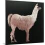 Llama-Sarah Thompson-Engels-Mounted Giclee Print