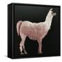 Llama-Sarah Thompson-Engels-Framed Stretched Canvas