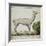 Llama-null-Framed Giclee Print