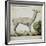 Llama-null-Framed Giclee Print