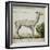 Llama-null-Framed Giclee Print