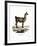 Llama-null-Framed Giclee Print