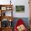 Llamas Amid the Inca Ruins at Ingapirca in the Andes Mountains, Ecuador-null-Photographic Print displayed on a wall