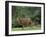 Llamas Amid the Inca Ruins at Ingapirca in the Andes Mountains, Ecuador-null-Framed Photographic Print