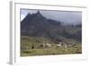 Llamas and Herder, Andes, Peru, South America-Peter Groenendijk-Framed Photographic Print