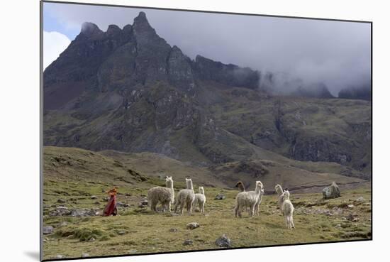 Llamas and Herder, Andes, Peru, South America-Peter Groenendijk-Mounted Photographic Print
