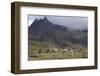 Llamas and Herder, Andes, Peru, South America-Peter Groenendijk-Framed Photographic Print