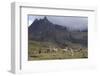 Llamas and Herder, Andes, Peru, South America-Peter Groenendijk-Framed Photographic Print