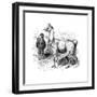 Llamas, C1880-null-Framed Giclee Print