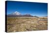 Llamas Graze Below the Sajama Volcano in Sajama National Park-Alex Saberi-Stretched Canvas