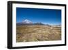 Llamas Graze Below the Sajama Volcano in Sajama National Park-Alex Saberi-Framed Photographic Print